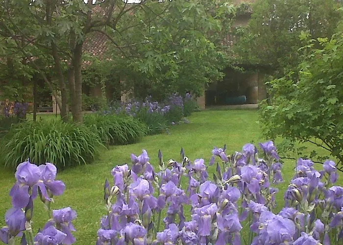 Mit Privatparkplatz By Interhome Apartman *