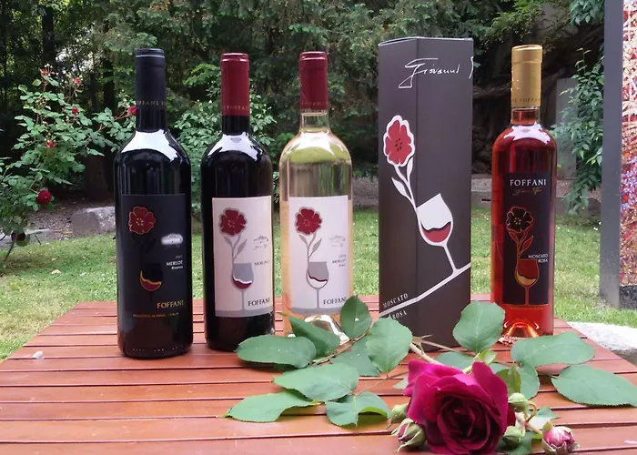 Mit Privatparkplatz By Interhome