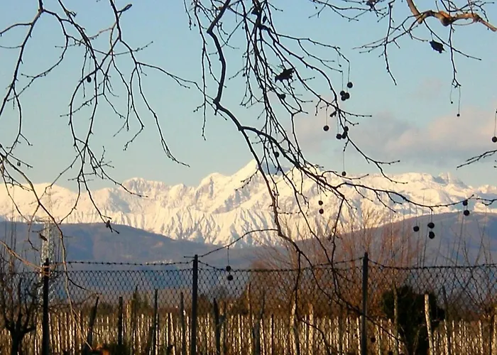 Mit Privatparkplatz By Interhome Apartman *